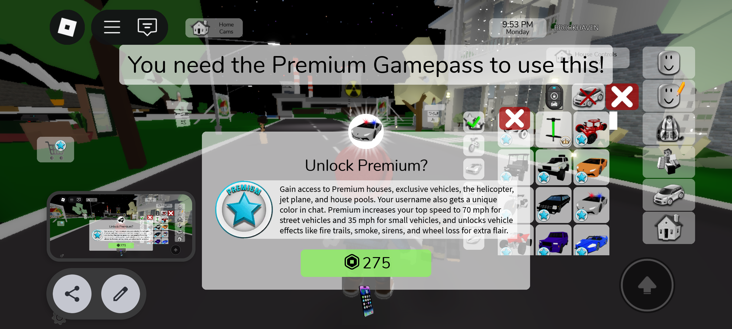 Overzicht van wat de Premium Gamepass in Roblox' Brookhaven biedt